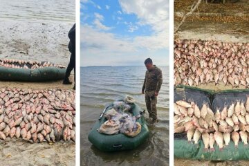 Госэкоинспекция
