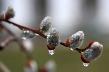 вербное воскресенье