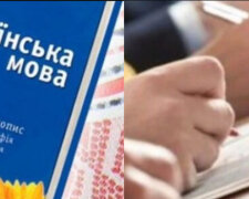 "З новими тарифами, зате українською": громадян зобов'яжуть довести знання мови, хто потрапляє під дію закону