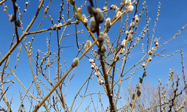 Прогноз погоди на тиждень з 16 по 22 березня в Харкові