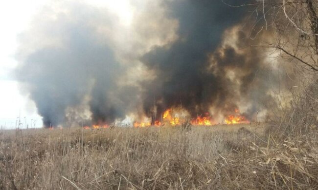 Неконтрольовані пожежі знищують все на своєму шляху: деталі того, що відбувається на Київщині