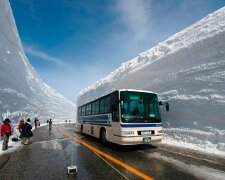 автобус, снег