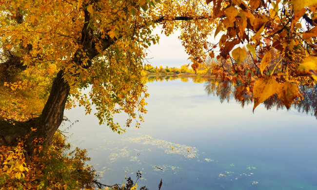 река осень озеро