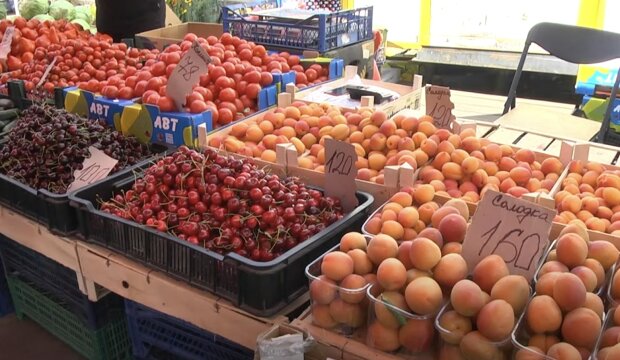 ����: politeka.net