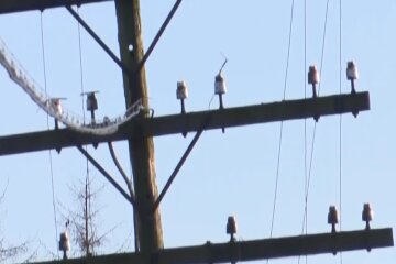 Графики отключения света в Ровенской области на 26 февраля