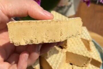 Больше не будете покупать: рецепт домашнего мороженого всего из трех продуктов, видео