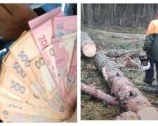 Аферисты придумали циничную схему обмана украинцев: "остаются без денег и дров"