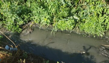 На Одещині фіксують забруднення каналізаційними стоками