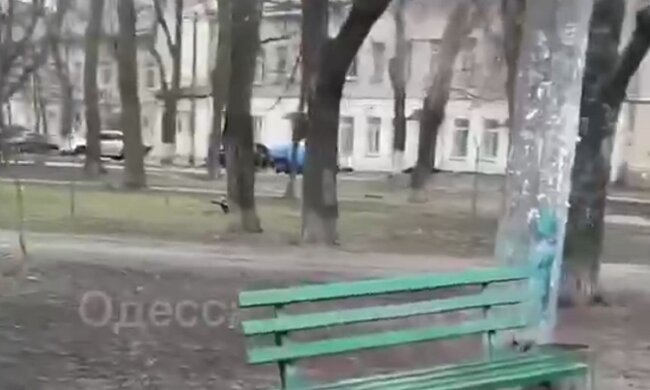 Трагедія з чоловіком в центрі Одеси, тіло лежало під лавкою: "швидка і поліція не поспішають"