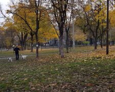 Прогноз погоди на тиждень з 6 по 12 жовтня у Кривому Розі