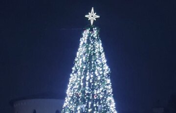 Первую новогоднюю елку в Украине установили в освобожденном городе, фото: "Знак нашей несокрушимости"