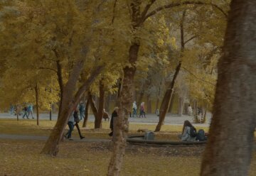 Прогноз погоды в Харькове на неделю с 19 по 25 ноября.