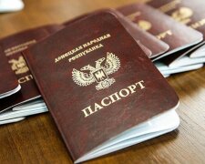 днр паспорт