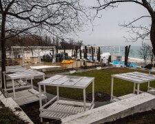 На популярному пляжі в Одесі знищили дерева заради ресторану: кадри варварства