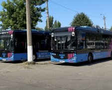 Нова система оплати проїзду у Миколаєві