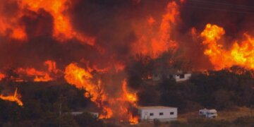 Американец устроил масштабный пожар из-за книг — видео