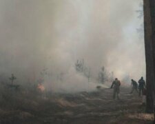 Огонь охватил дома на Харьковщине, десятки семей остались без жилья: "подожгли в двух местах"