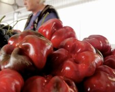 Подорожание продуктов в Запорожье