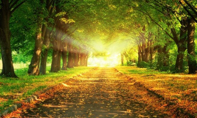 бабье лето, осень