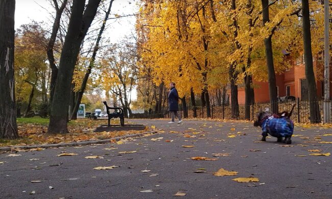 Прогноз погоды на неделю с 6 по 12 октября в Харькове.