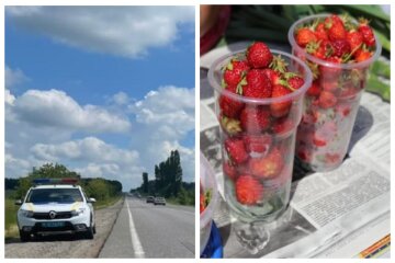 Життя чоловіка обірвалося в одну мить на одеській трасі, кадри: "хотів купити полуницю"
