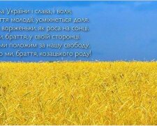 flag(3)