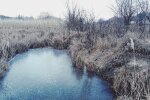 заморозки, погода, весна