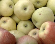 Дефіцит продуктів у Харкові