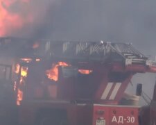 Пожежа забрала життя 3-річної дівчинки в Одеській області, кадри трагедії: "Мама збирала дрова"
