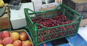 Ціни на черешню у Дніпрі б'ють рекорди: скільки доведеться заплатити за кг ягоди