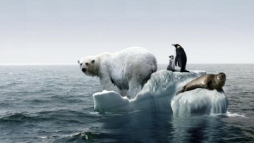 глобальное потепление, катастрофа, Арктика