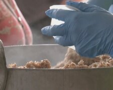 Безкоштовні продукти для ВПО та пенсіонерів у Миколаївській області