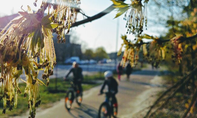 погода весна апрель люди велосипед