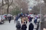 В Одессе наблюдают аномалию в начале января, кадры: "на деревьях распустились..."