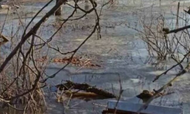 Украинский поселок уходит под воду: уже затаплены дворы в частном секторе, фото