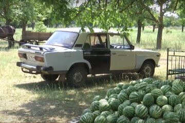 цены на арбузы и дыни в 2023 году в Украине: прогноз эксперта