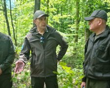 Андрій Мальований розкрив, як потрібно боротися з вирубкою лісу: "Мало затвердити високі штрафи"