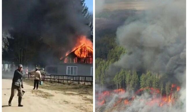 Житлові будинки знищено, в хід пішла авіація: нові кадри вогняного пекла на Житомирщині