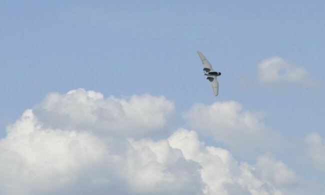 "Фурия" беспилотник БЛА