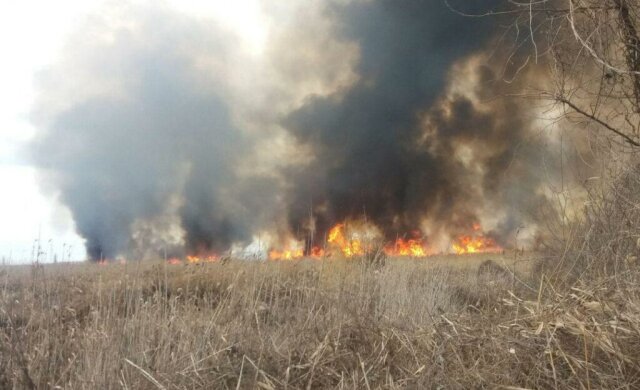 Неконтролируемые пожары уничтожают все на своем пути: детали происходящего на Киевщине