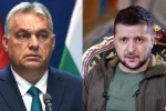 Зеленський подякував Орбану: "Домовилися розвивати співпрацю в..."