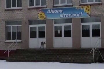 Пугливо оглядывалась по сторонам: в Харькове возле школы заметили косулю, фото