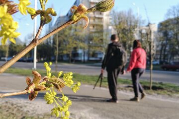 погода весна апрель люди