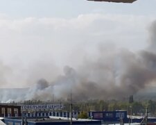 Масштабна пожежа впритул підібралася до Харкова, горять житлові будинки: кадри з місця НП