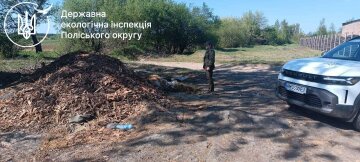 Держекоінспекція