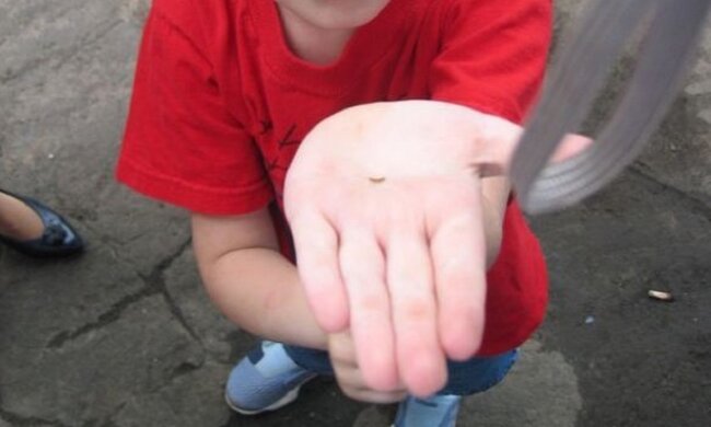 попрошайка, ребенок