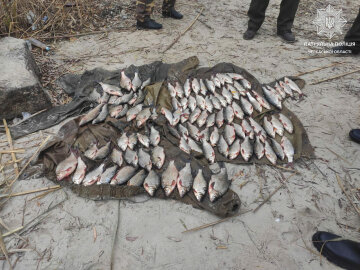 Госэкоинспекция: В Черкасской области обнаружены браконьеры, нанесшие ущерб государству на 156 тысяч гривен
