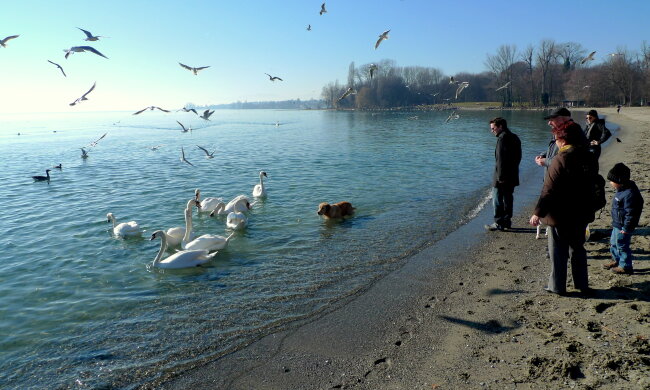 весна погода озеро прогулянка