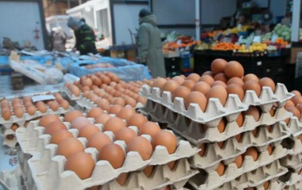 ����: politeka.net