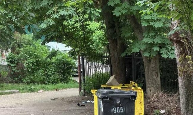 Ботсад Фоміна